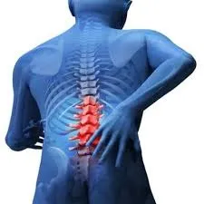 脊柱管狭窄症　股関節痛　大腿部痛　７２歳　男性　無職