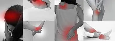 肩関節痛　腰痛　自律神経の乱れ　３８歳　女性　主婦
