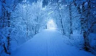 2月の日曜診療予定