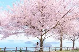 「なんとなく体が重い…」そのサイン、鍼灸でリセットしませんか?