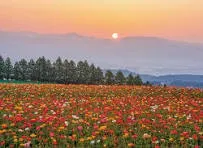 5月の休日診療日